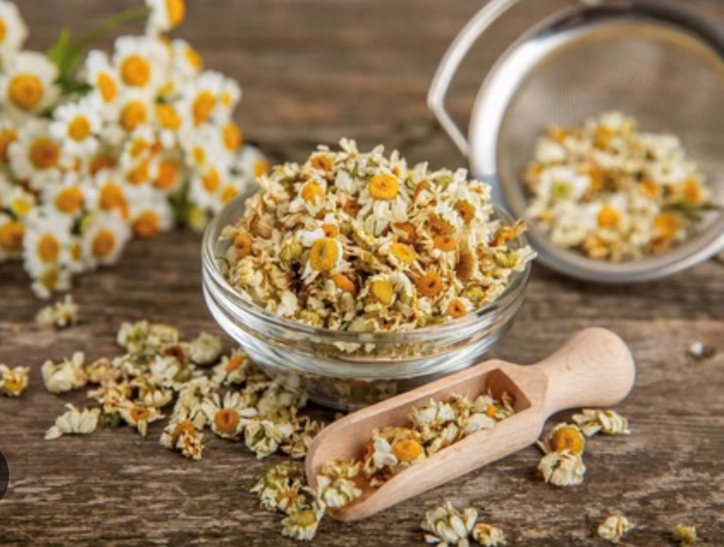Chamomile